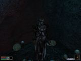 [The Elder Scrolls III: Morrowind - скриншот №82]