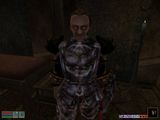 [The Elder Scrolls III: Morrowind - скриншот №85]