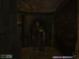 [The Elder Scrolls III: Morrowind - скриншот №95]