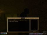 [The Elder Scrolls III: Morrowind - скриншот №98]