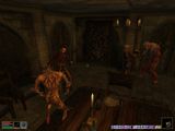 [The Elder Scrolls III: Morrowind - скриншот №99]