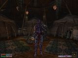 [The Elder Scrolls III: Morrowind - скриншот №101]