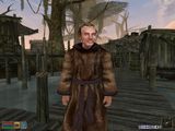 [The Elder Scrolls III: Morrowind - скриншот №103]
