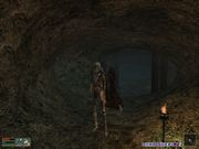 The Elder Scrolls III: Tribunal