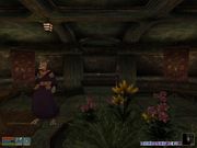 The Elder Scrolls III: Tribunal