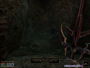 The Elder Scrolls III: Tribunal