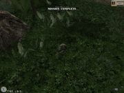 Elite Warriors: Vietnam