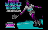 [Emilio Sanchez Vicario Grand Slam - скриншот №1]