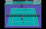[Скриншот: Emilio Sanchez Vicario Grand Slam]