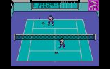 [Скриншот: Emilio Sanchez Vicario Grand Slam]