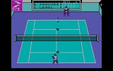 [Скриншот: Emilio Sanchez Vicario Grand Slam]