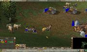 Empire Earth
