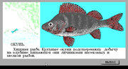 Естествознание