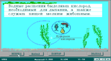 [Естествознание - скриншот №49]