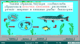 [Естествознание - скриншот №50]
