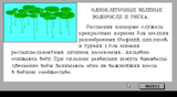 [Естествознание - скриншот №59]