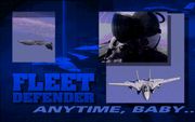 F-14 Fleet Defender