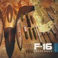 [F-16 Aggressor - обложка №2]
