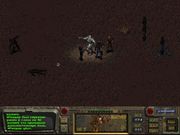 Fallout