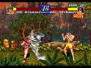 Fatal Fury 3: Road to the Final Victory
