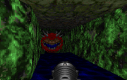 Final DOOM: The Plutonia Experiment