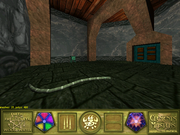 Five Elements Masters