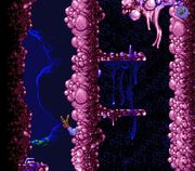 Flashback: The Quest for Identity