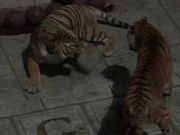 Fort Boyard: The Challenge