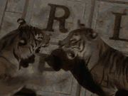 Fort Boyard: The Challenge