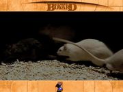 Fort Boyard: The Challenge