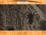 Fort Boyard: The Challenge