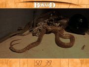 Fort Boyard: The Challenge