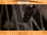 [Fort Boyard: The Challenge - скриншот №47]