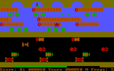 [Frogger - скриншот №13]