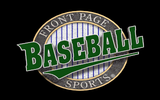 [Front Page Sports: Baseball '94 - скриншот №4]