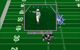 [Front Page Sports: Football Pro '95 - скриншот №12]
