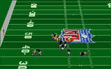 [Front Page Sports: Football Pro '95 - скриншот №13]