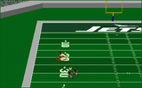 [Front Page Sports: Football Pro '95 - скриншот №38]