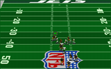 [Front Page Sports: Football Pro '95 - скриншот №41]