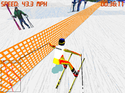 Front Page Sports: Ski Racing