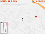 [Front Page Sports: Ski Racing - скриншот №2]