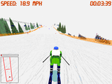 [Front Page Sports: Ski Racing - скриншот №13]