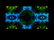 Gadget: Past as Future