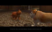 Garfield 2