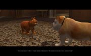 Garfield 2