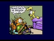 Garfield: Caught in the Act