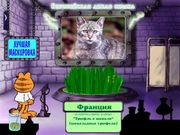 Garfield's Mad About Cats