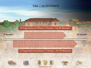 Das Geheimnis des Zenturio