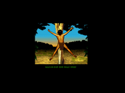 George of the Jungle: The Swinging Game