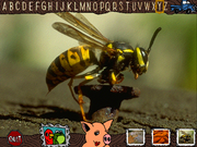 The Gigglebone Gang: AlphaBonk Farm